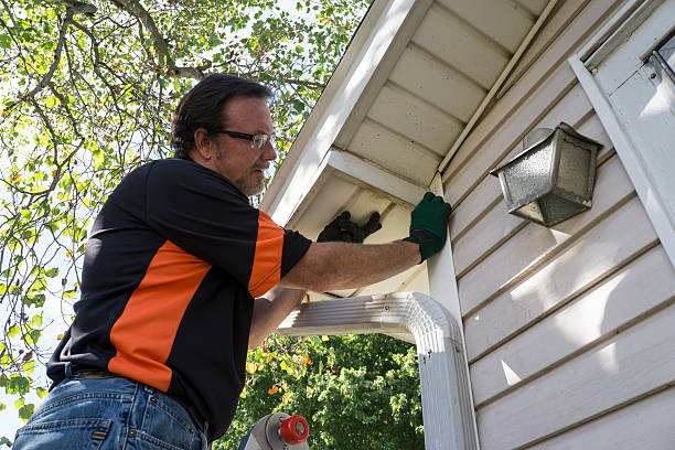 Best Carpet Removal and Disposal  in Smethport, PA